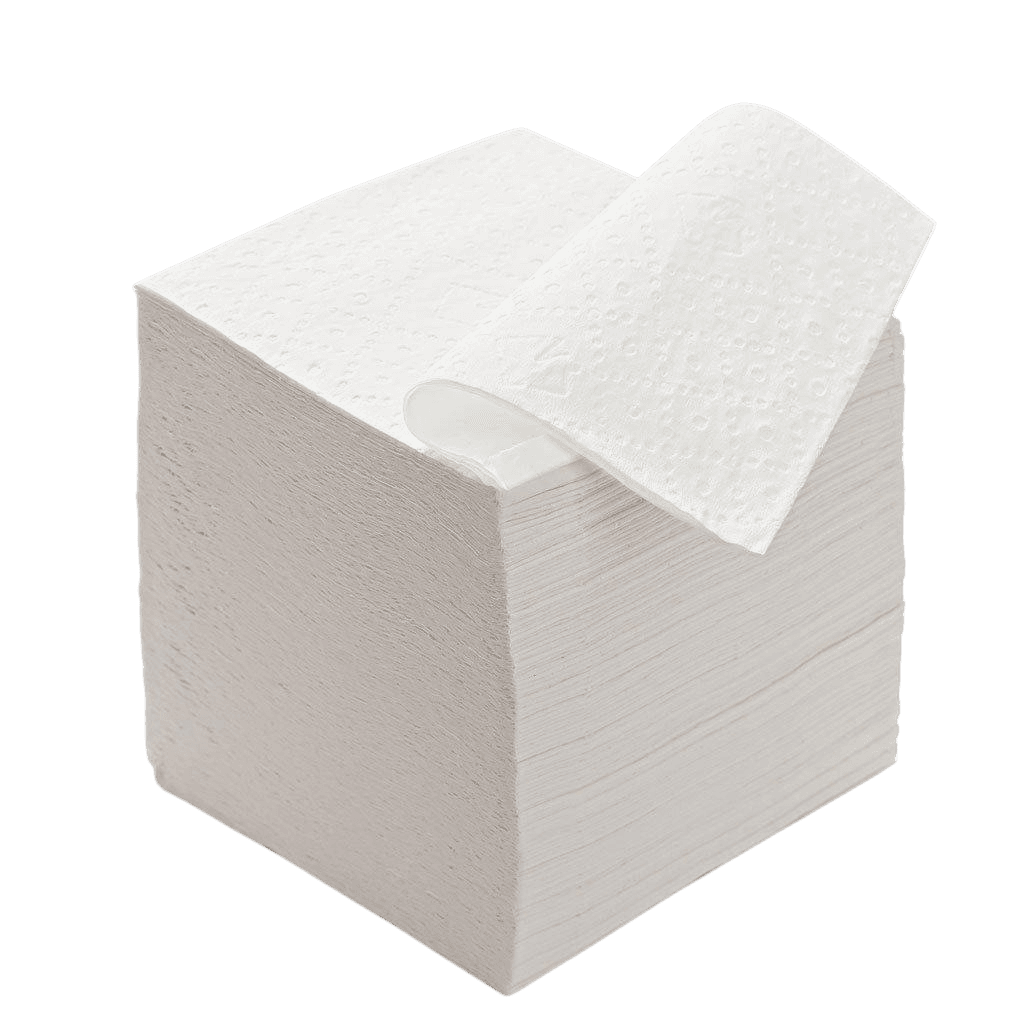Papel Higiênico — variante 2